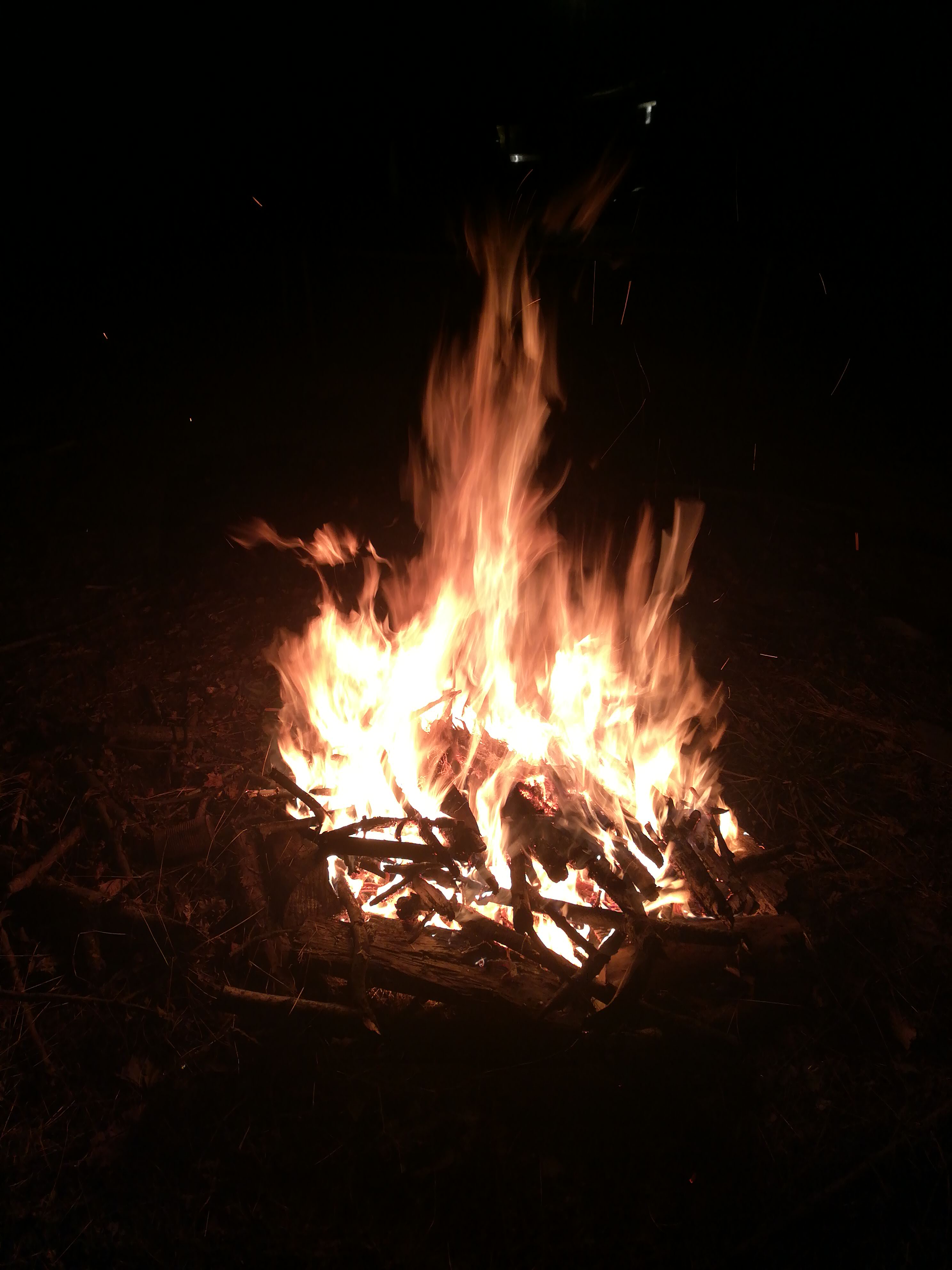 Bonfire
